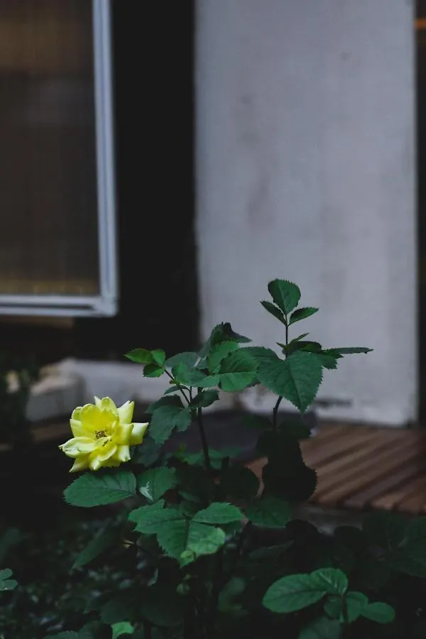 Viva La Vida - Jongno Hanok Private House Seoul Holiday home